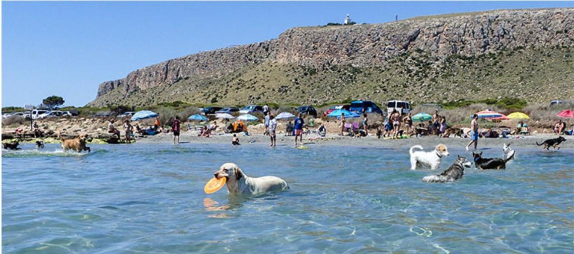 Puerto Marino Adosado Tranquilo Con Piscina Y Vistas Al Mar 아파트 외부 사진